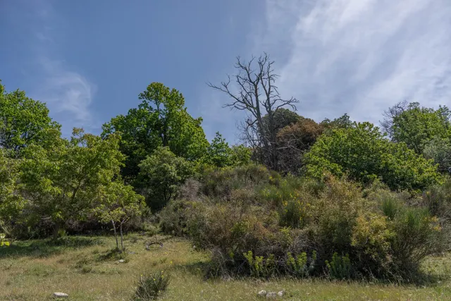 PARCELA EN VENTA EN SOPORTÚJAR — 17