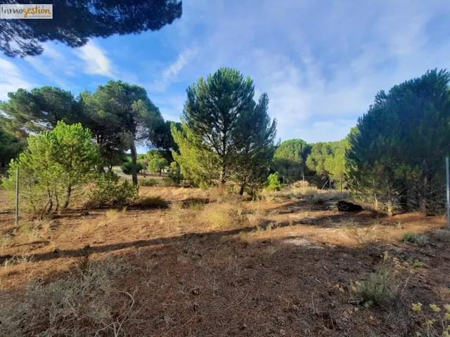 EN VENTA TERRENO RÚSTICO, TUDELA DE DUERO - foto 2