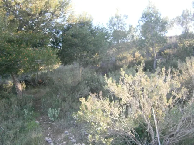 CASA DE CAMPO EN MONOVAR — 26