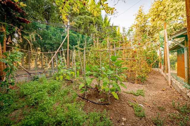 Fantástica casa a la venta en Villanueva del Trabuco — 33