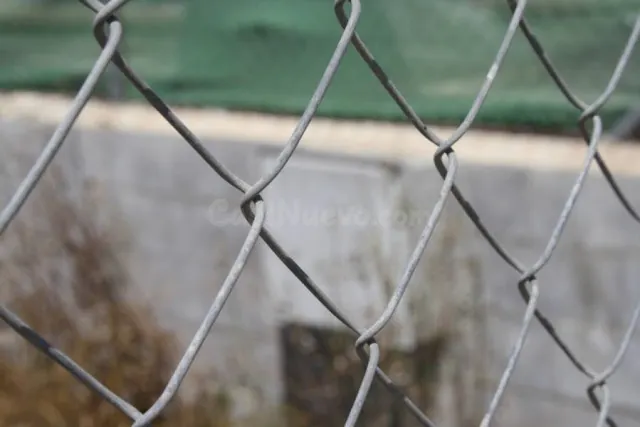 Parcela a las afueras de Orihuela - foto 4