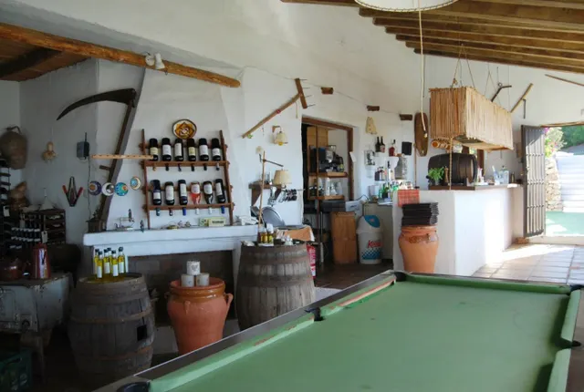 Magnifica villa con posibilidad de negocio en Frigiliana — 24
