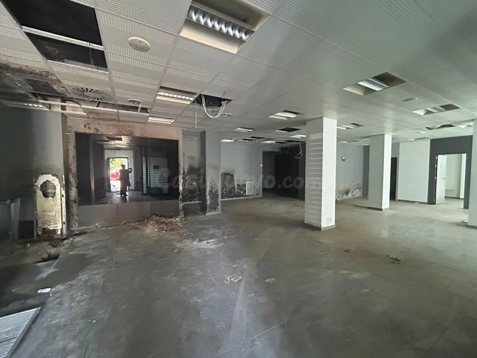 Locales en Vejer de la Frontera (Cádiz)