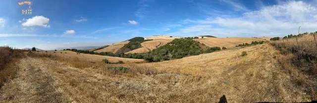 TERRERO RÚSTICO EN ZONA CARRETERA ARCOS-ALGAR
