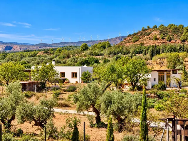 Finca de 11.000 m2 con 2 edificaciones y gran sala polivalente en Jérica — 25
