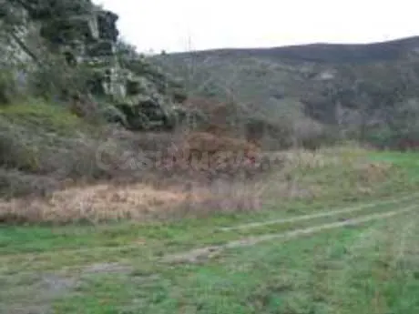 Terreno rural 10000m² en venta - Vega de espinareda