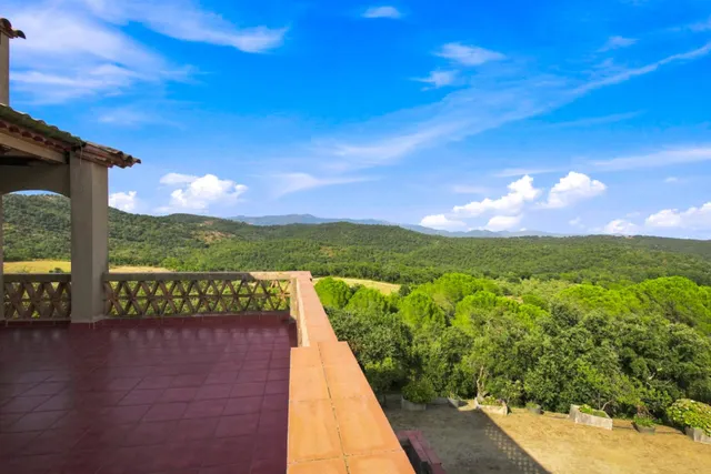 Finca Rustica en venta — 6