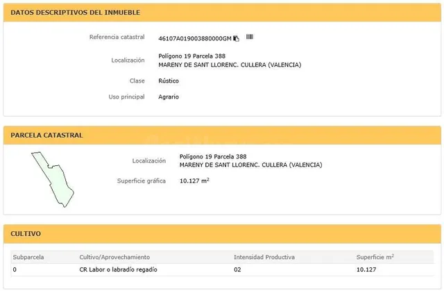 FINCA RUSTICA EN VENTA CON 6 ASSETS (VALENCIA) - foto 4