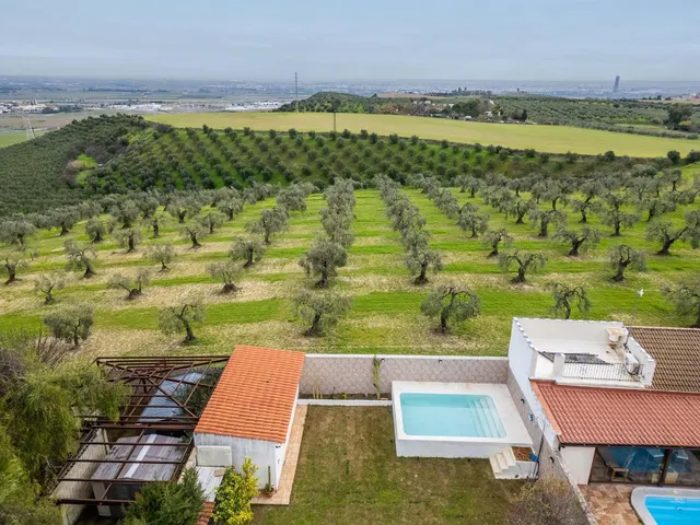 Vivir rodeado de calma, luz y naturaleza en Valencina de la Concepción — 5