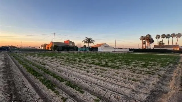 Terreno rústico Dolores Alicante con potencial constructivo - foto 2