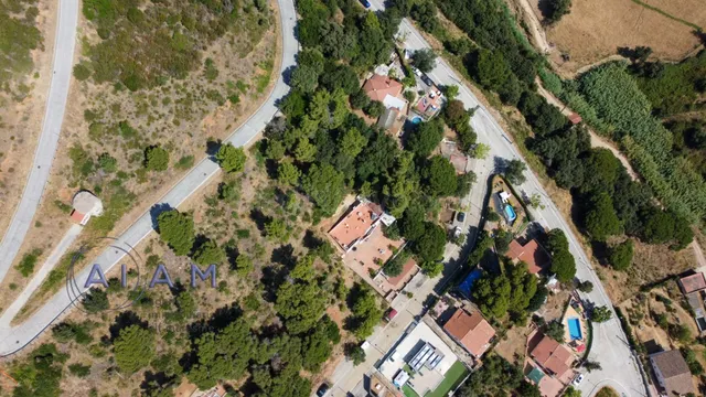 En venta 3 parcelas al principio de la Urbanización Montesso - foto 5