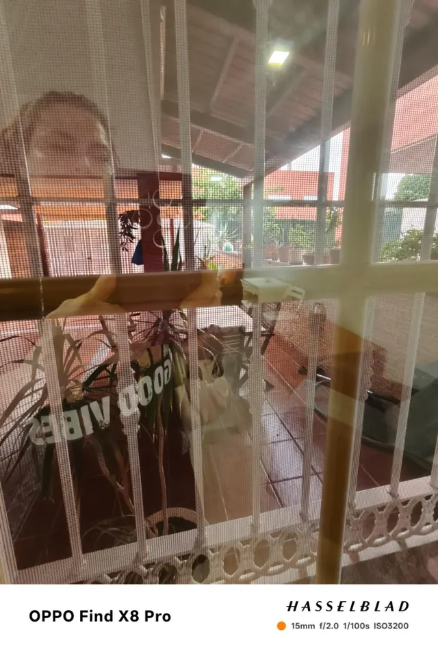 Chalet Estudiantes en La Ñora - ¡Solo Chicas! — 8