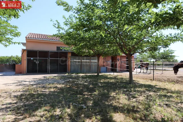 CAMPO CON NAVE IDEAL PARA LOS AMANTES DE LOS CABALLOS en LLI - foto 2
