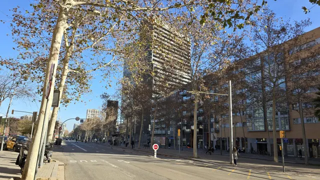 Planta alta y con mucha luz — 12