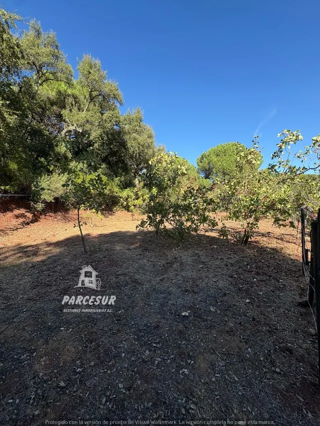 Casa de campo con gran parcela y frutales en Las Siete Fincas. — 25