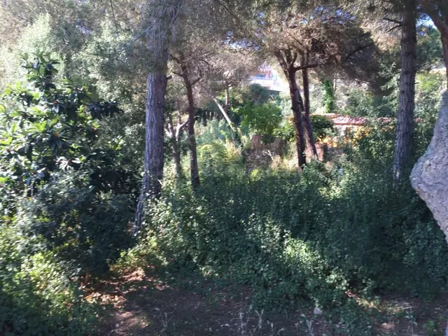 Terreno urbano en venta - Los pinares - foto 4