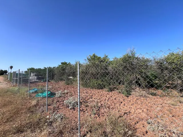 VENTA DE TERRENO EN LOS RUBILAES, GUILLENA. - foto 5