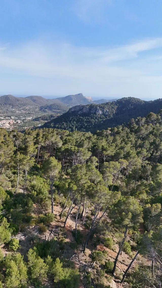 Terreno Rústico de 12.240 m2 en S’Arracó (Andratx) | Vistas al Mar, Cueva Natural y Pago Aplazado — 15