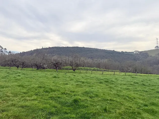 Casa de campo con 21.535 m2 de terreno en Las Regueras - foto 3