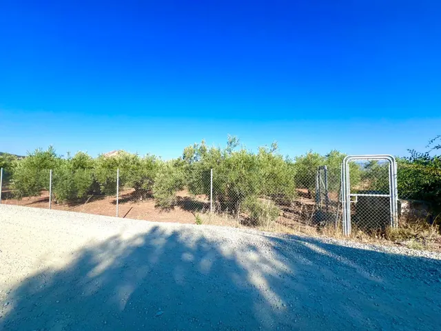 ALBOLOTE - PANTANO CUBILLAS — 21