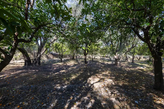FINCA RUSTICA EN LA VEGUETA, PINOS DEL VALLE!! — 11