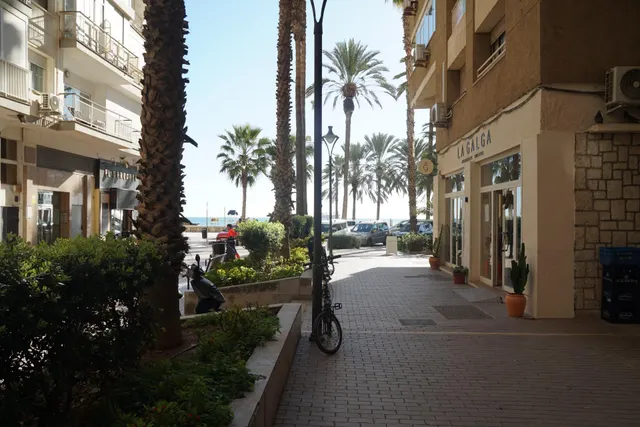 LOCAL COMERCIAL A LA VENTA EN LA MALAGUETA — 14