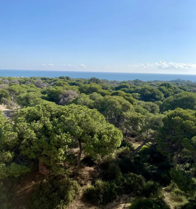 Apartamentos de lujo de nueva construcción cerca de la playa en Guardamar del Segura — 16
