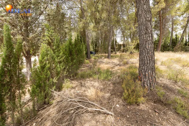 EXCLUSIVO TERRENO EN VENTA EN ALBOLOTE — 28
