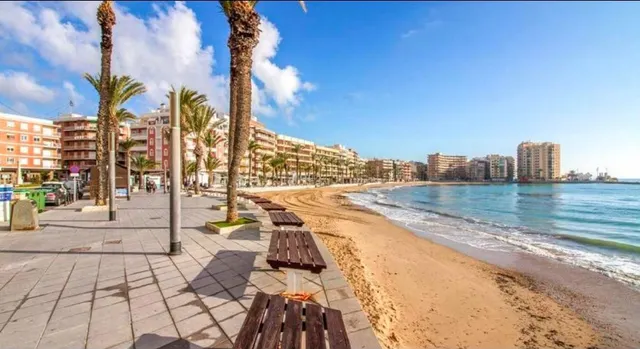 Estudio-Torrevieja-centro-700 m de la playa- — 31