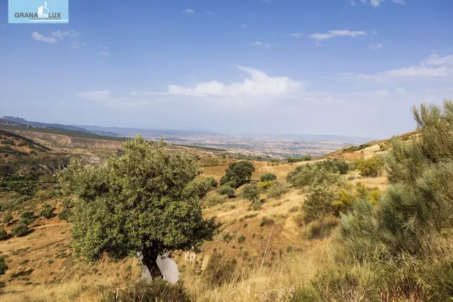 En Venta Maravilloso Paraje Natural, a medio camino entre Granada y Sierra Nevada, a veinte minutos en coche, desde cada una de ellas. — 3