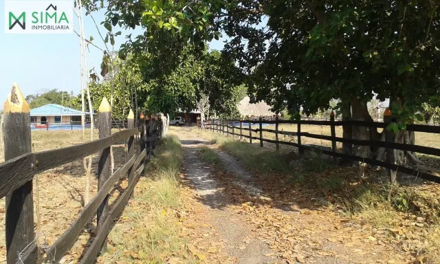 SE VENDE FINCA GANADERA EN EL MUNICIPIO DE MAHATES BOLIVAR — 4