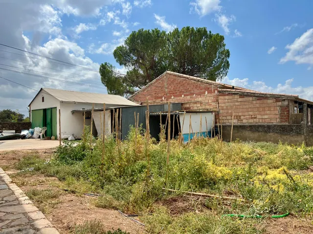 FINCA CON PISCINA, HUERTO, POZO Y VIVIENDA — 8