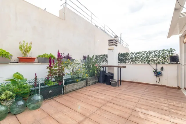 Piso con Terraza en Camino de Murcia — 3