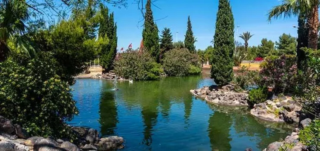 ÁTICO CON GRAN TERRAZA, PISCINA Y GARAJE CERCA DEL CENTRO DE TORREVIEJA — 17