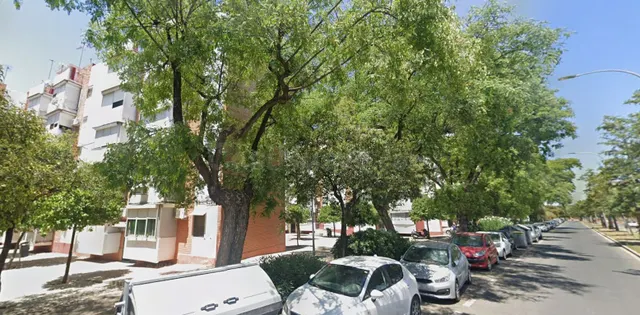 Apartamento 1 habitación 58m² en venta - San Pablo — 2