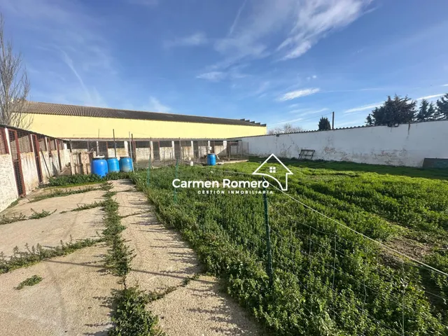 PARCELA A 13 KM DE SALAMANCA CON 5.343 M2, CON REFUGIO - foto 3