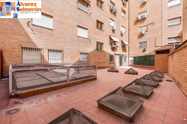 AMPLIO PISO ENTRE CONSTITUCION Y PLAZA DE TOROS — 15