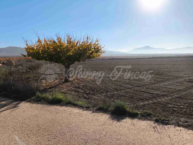 Casa de campo-Masía en Venta en Yecla Murcia — 29