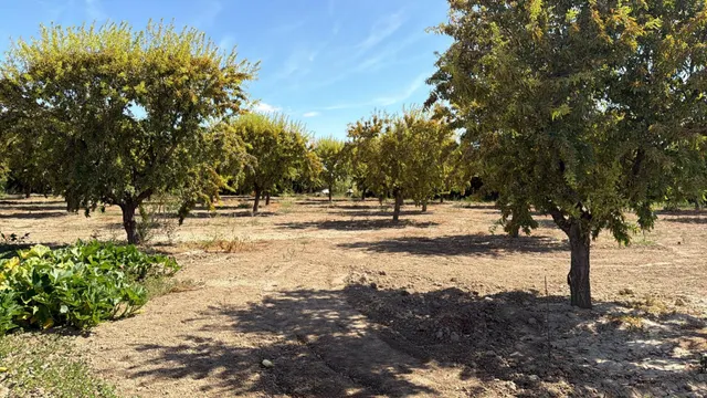 Terreno Rural en Ejea de los Caballeros — 6