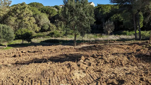 Parcela en venta - Sotogrande - Alto — 7