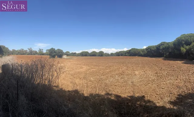 MAGNIFICA PARCELA EN LA MUELA — 6