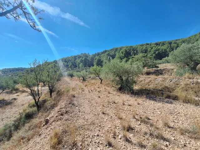 Finca rústica con olivos, almendros y vistas al castillo, a 3 km de Castalla — 10.000 € — 3