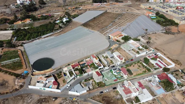 SE VENDE FINCA EN PRODUCCION AGRICOLA CON CASA - foto 2