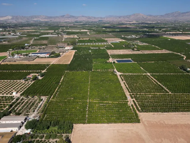Oportunidad Inversión: Parcelas Rurales en Orihuela — 5