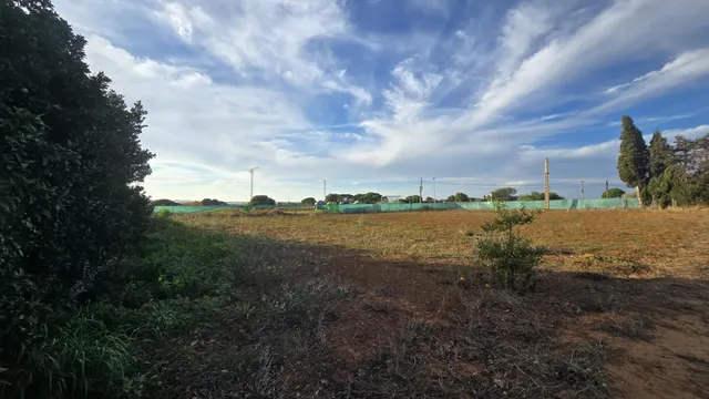 PARCELA -SEGREGADA CON REFUGIO EN ZONA PINAR DE LOS FRANCESES — 8