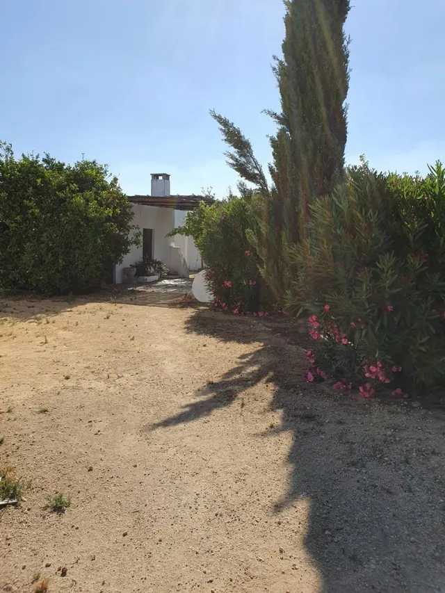 CORTIJO EXPLOTACION AGRARIA Y OLIVAR EN PRODUCCION FRENTE A LA BARROSA — 10