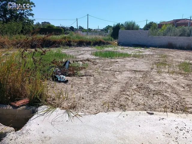 Parcela en Alguazas, Zona El Paraje — 2
