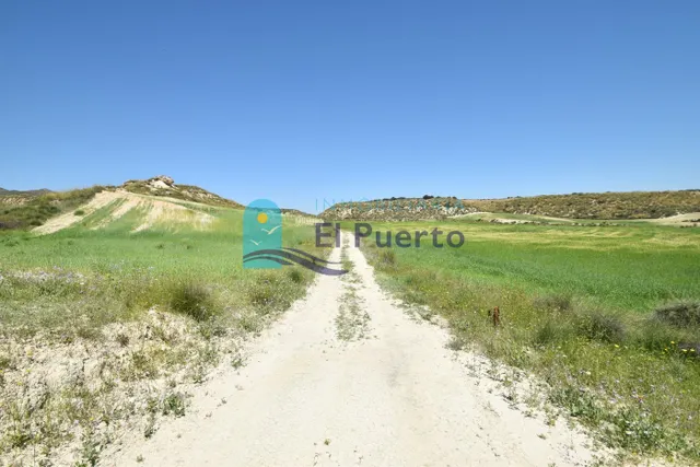 TERRENO DE 20.000 METROS EN LA MAJADA — 15