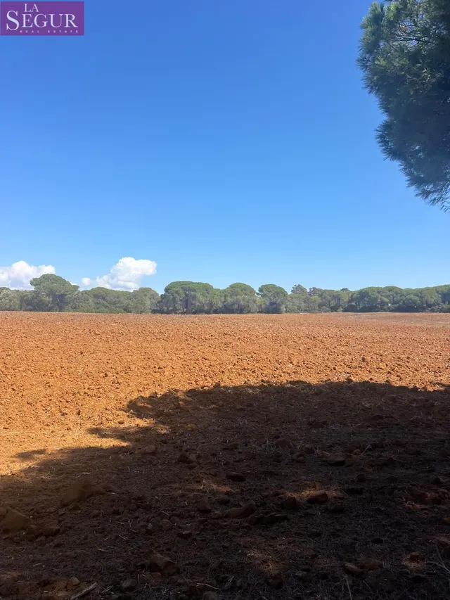 MAGNIFICA PARCELA EN LA MUELA - foto 4