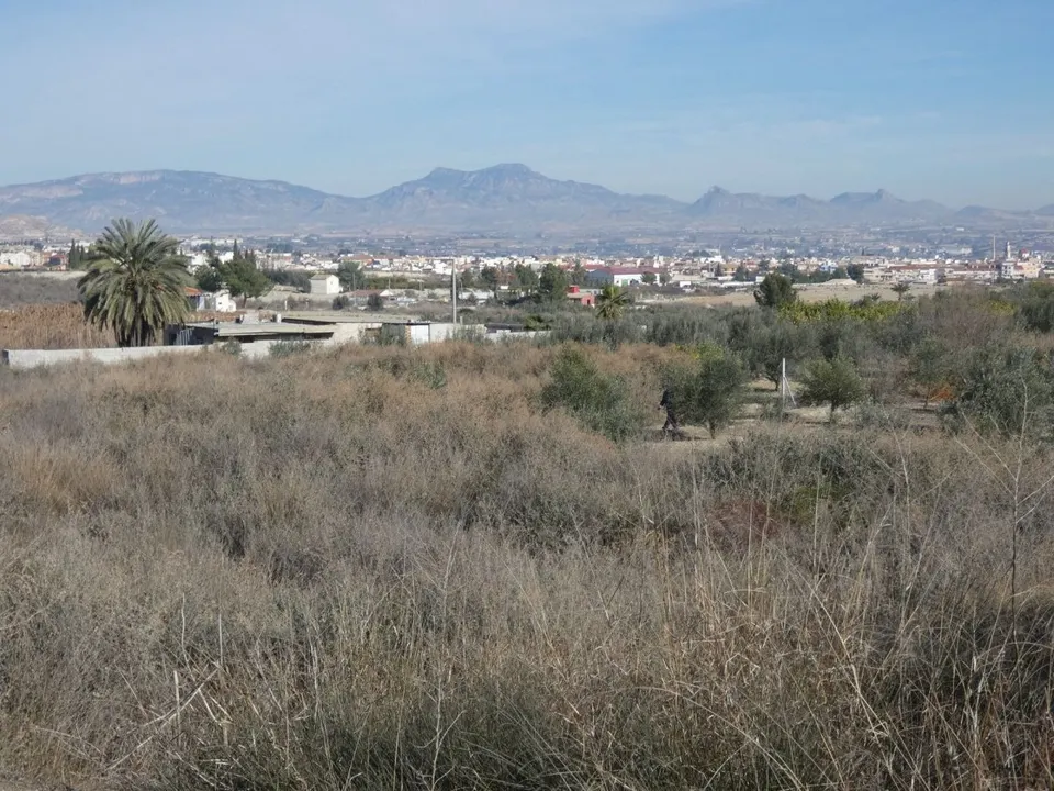 ++Terreno no urbano en Ceuti zona Ceutí, 8200 m. superficie parcela++.